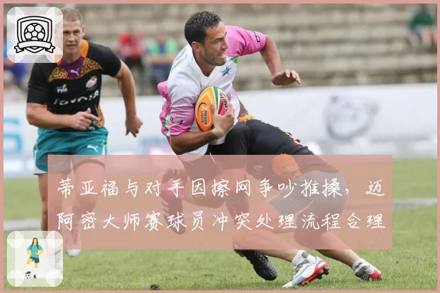 蒂亚福与对手因擦网争吵推搡，迈阿密大师赛球员冲突处理流程合理吗？