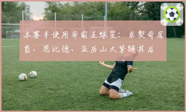本赛季使用率前五球星:东契奇居首,恩比德、亚历山大紧随其后