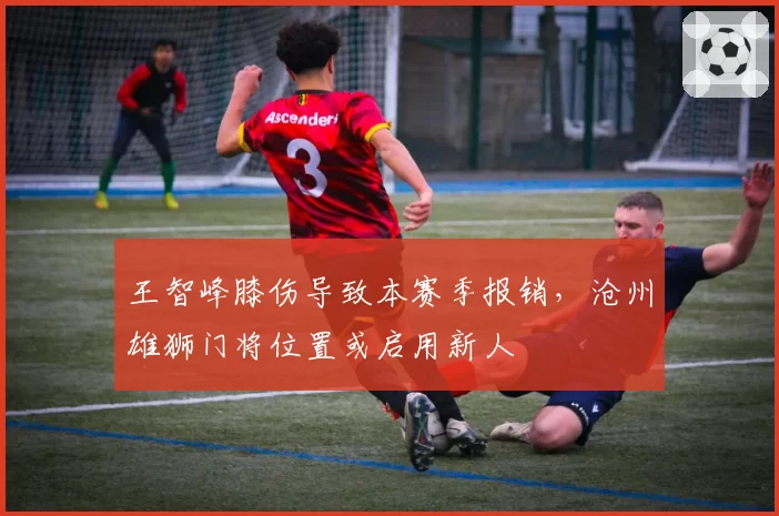 王智峰膝伤导致本赛季报销，沧州雄狮门将位置或启用新人